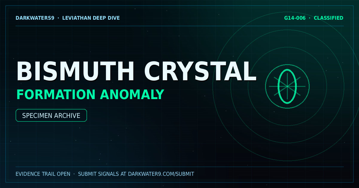 Bismuth crystal investigation